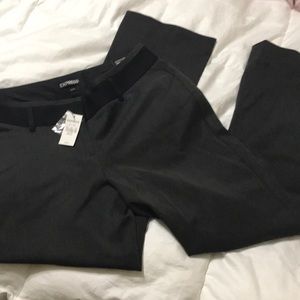 Express dress pants